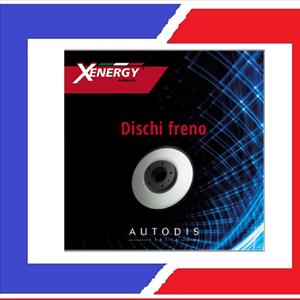 COPPIA DISCHI FRENO POST VOYAGER